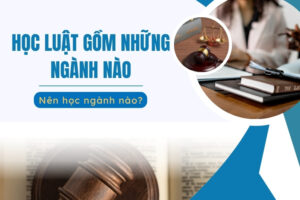 học luật gồm những ngành nào
