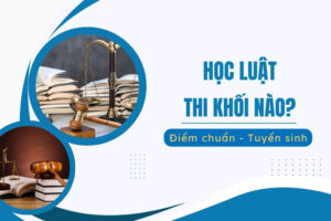 học luật thi khối nào